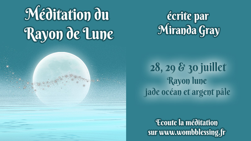 Plan de travail 3